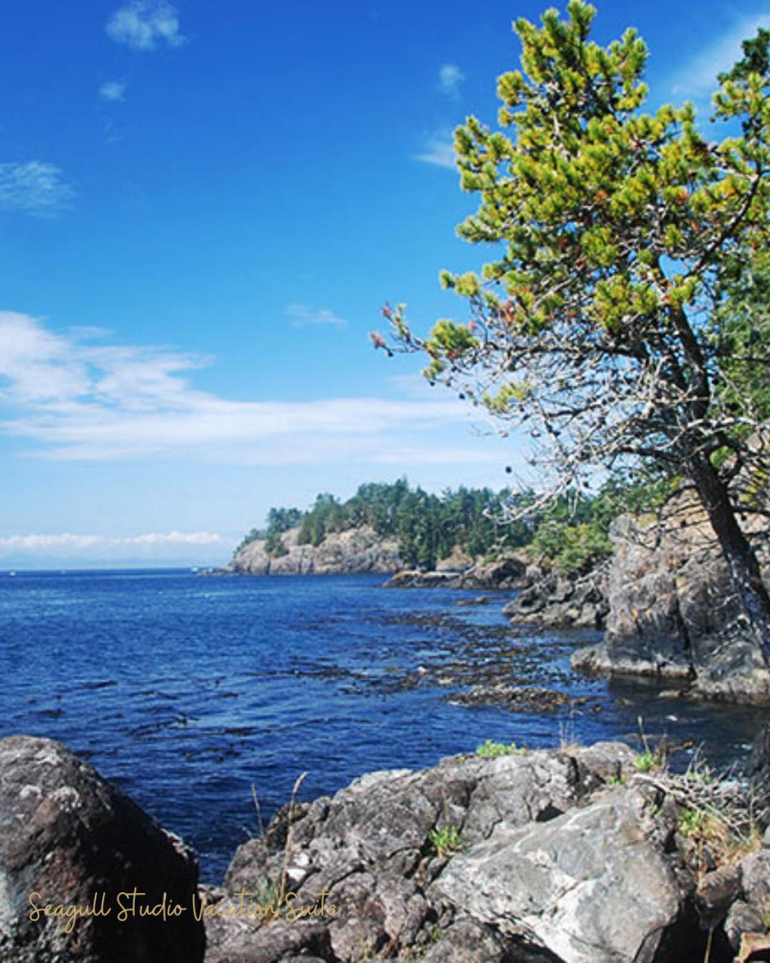 Seagull Studio Vacation Suite Sooke Exterior foto